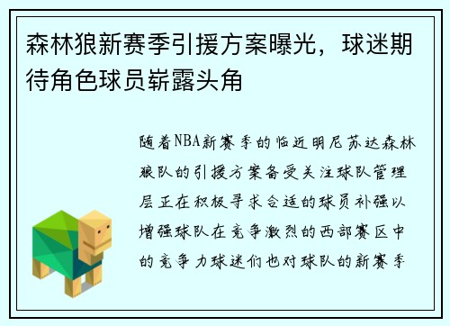森林狼新赛季引援方案曝光，球迷期待角色球员崭露头角