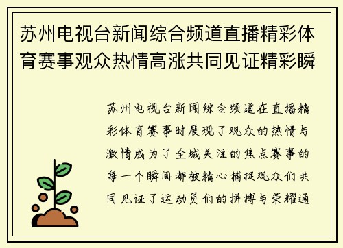 苏州电视台新闻综合频道直播精彩体育赛事观众热情高涨共同见证精彩瞬间